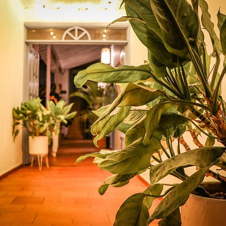 Aura Hotel Parque Barichara By Infinity Eksteriør bilde