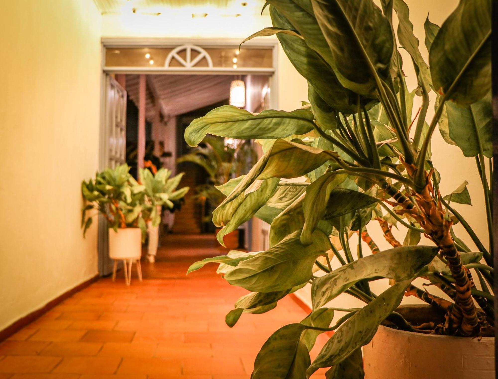 Aura Hotel Parque Barichara By Infinity Eksteriør bilde
